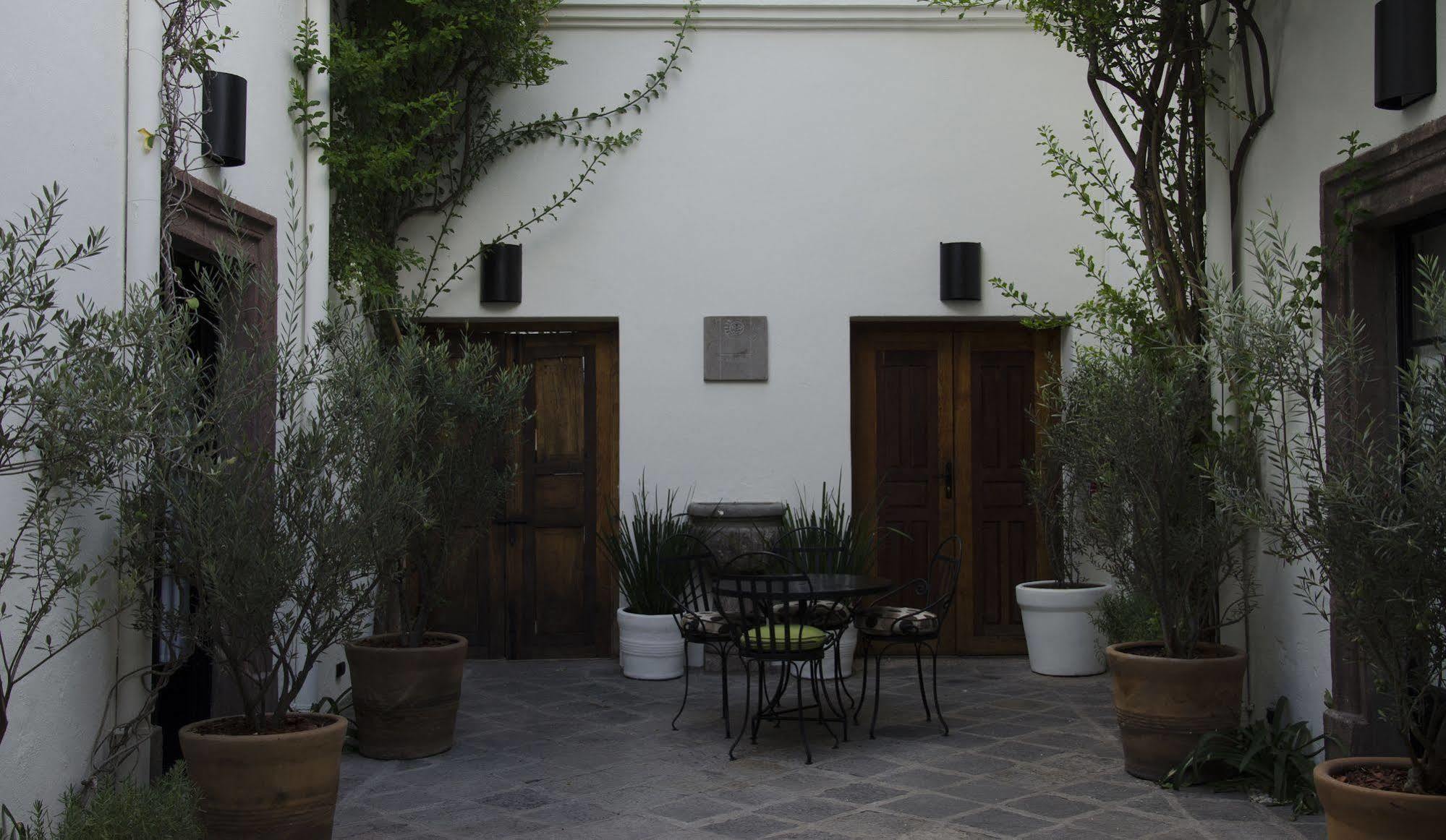 Casa De Los Olivos San Miguel de Allende Exteriér fotografie
