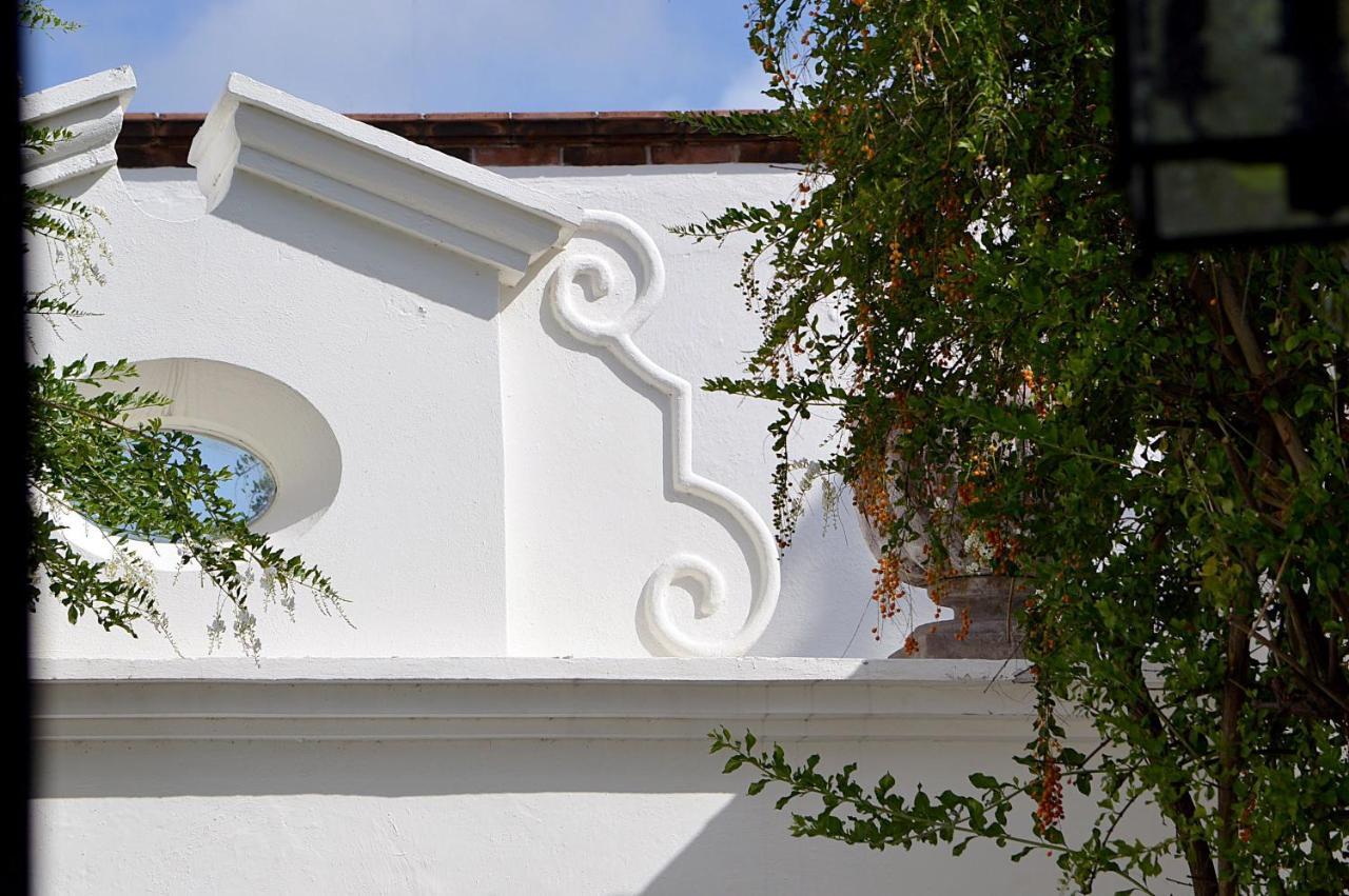Casa De Los Olivos San Miguel de Allende Exteriér fotografie