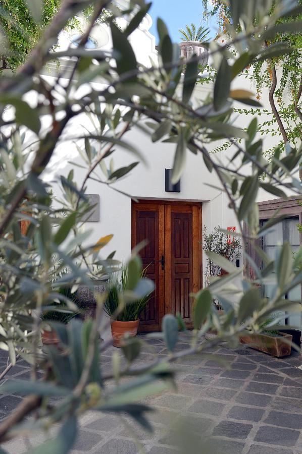 Casa De Los Olivos San Miguel de Allende Exteriér fotografie